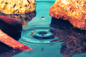 Between stones and branches, a drop of water forms circles on the water.