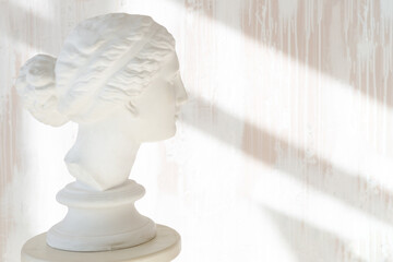 plaster head of Venus on a pedestal, the background is a wall with shadows from the window © metelevan
