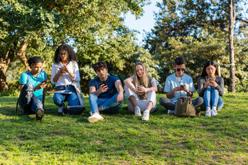 Fototapeta premium Group of teenage friends looking at the phone in the park on green grass