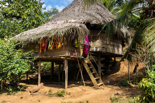 Embera Puru Embera village in Panama. A traditional Emberá house is an open-air dwelling raised off the ground on stilts, thatched roofing made from palm leaves. Colorful paruma cloth and hibiscus.