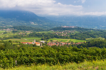 Fototapeta na wymiar Vipava valley in Gorice region, Slovenia