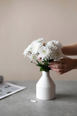 White chrysanthemums in a vase on a beige interior. Selective soft focus. Minimalist still life. Interaction of light and shadow. White flowers in female hands