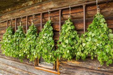 Birch brooms are hung for drying