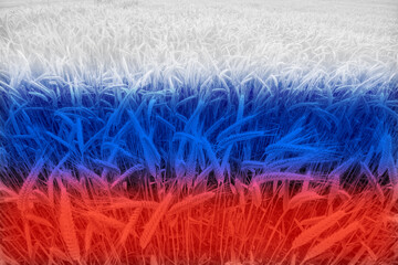 Obraz premium Wheat price increase in Russia with flag as a concept.