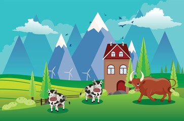 Cows on mountain hills