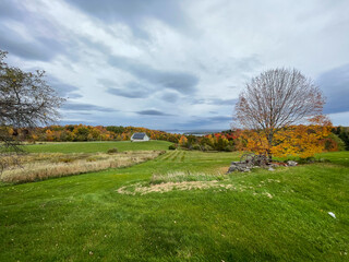 Autumn landscape with a tree - Newport Vermont in the fall