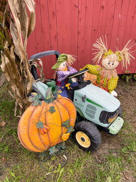 scarecrow and pumpkins - harvest season decor - Vermont in the fall