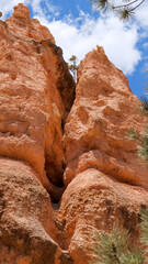 Weathered sculpture by nature