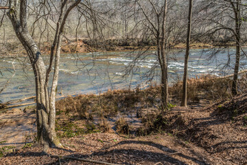 Alongside the riverbank by the shoals