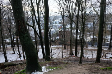 FU 2021-01-24 Schneewelt 138 Hinter dem verschneiten Wald ist ein Ort