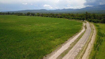 sugarcane cultivation in northwestern Argentina