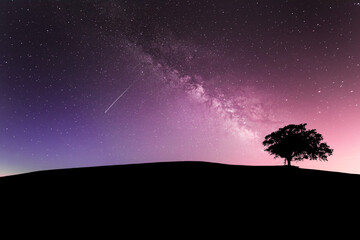 Fototapeta na wymiar Purple Skies