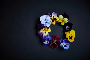Fototapeten Circle of a colored pansy on black background. © Dragosh
