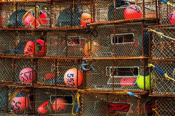 Colorful Crab Floats 