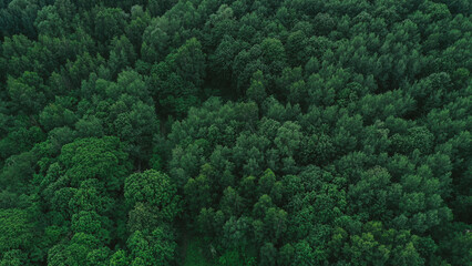Landscape from above