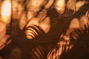 dark shadows of palm trees and branches on an orange stucco wall with bright sunlight behind it texture