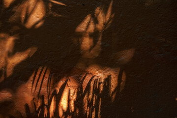dark shadows of palm trees and branches on an orange stucco wall with bright sunlight behind it texture