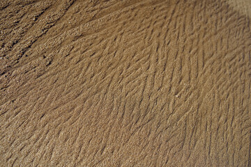 Beautiful gold sparkling and shining wet sand texture background in tropical paradise of the South Pacific