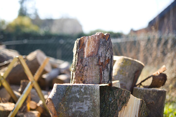 one piece of firewood, ready to be chopped