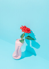 Red blossom rose flower in pastel pink colored crushed can against vibrant blue background. Minimal nature conservation concept. Retro still life aesthetic. Spring floral idea. Sunshine shadow.