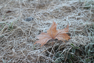 paisagem coberta por geada no inverno no roteiro caminhos de pedra em Bento Gonçalves, rio grande do sul