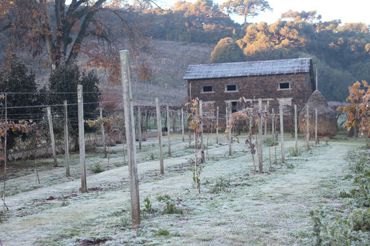 paisagem coberta por geada no inverno no roteiro caminhos de pedra em Bento Gon&ccedil;alves, rio grande do sul