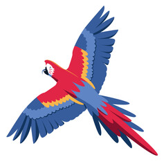 Isolated parrot flying Colombian bird Vector illustration