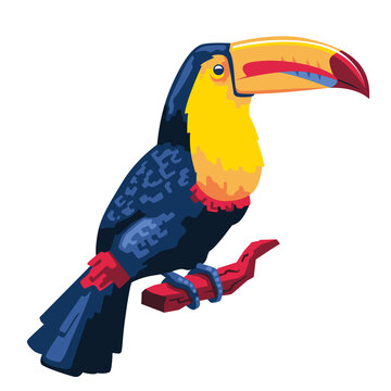 Isolated Toucan Image Colombian Bird Vector Illustration