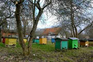 An apiary with colorful hives among trees. Building of farm in background.