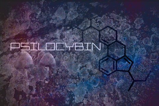 chemical formula of psilocybin on a blackboard Mushroom. Psilocybin mushroom. Close up Magic shroom. Psychedelic drug. Ilustration background for your desigen.