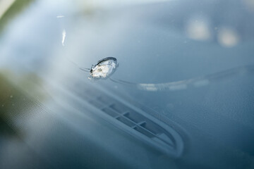 windshield chip, stone crack in glass