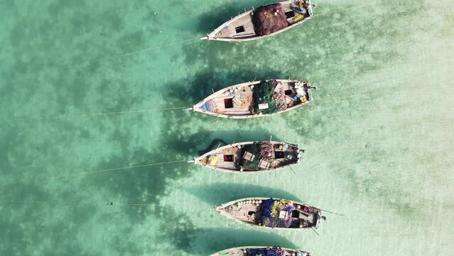Boats in the ocean near the coast of Zanzibar, Tanzania