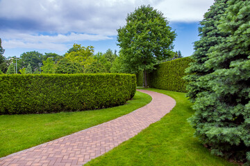 pedestrian walkway made of brick stone tiles, path crescent form in an arc in the park among the hedge of evergreen thuja and pine trees with clouds on sky, nobody.