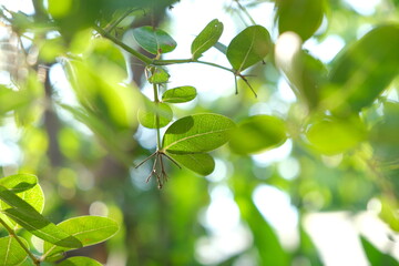 hobbies and lifestyle