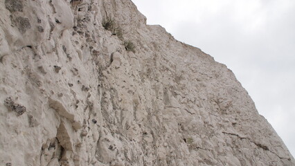 Seven sisters