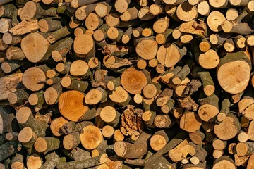 Möbelaufkleber Holz © Jens
