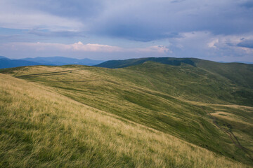 beautiful carpathian mountains, road, hills, forest, ukrainene