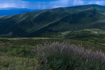beautiful carpathian mountains, road, hills, forest, ukrainene