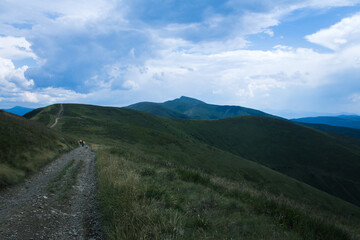 Fototapeta premium beautiful carpathian mountains, road, hills, forest, ukrainene