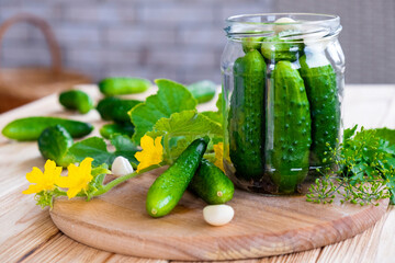 Preparation of salty pickled cucumbers with herbs, garlic and dill. Recipe of homemade preservations crunchy gherkins with salt. Healthy organic food.