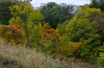 Autumn landscape on a hilly area.