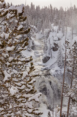 Snow Covered Landscape in Yellowstone National Park in Winter
