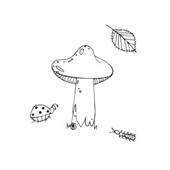 mushrooms on a black  sheet  ladybug  ant