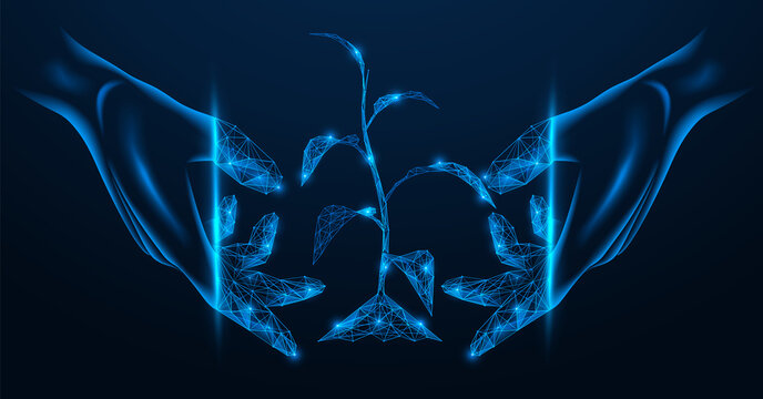 Planting a young plant in the soil. Hands protect the sprout of the tree. Low-poly design of lines and dots. Blue background.