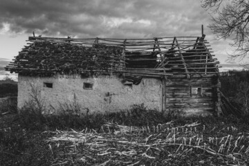 opuszczona stodoła na wsi na suwalszczyznie  - obrazy, fototapety, plakaty