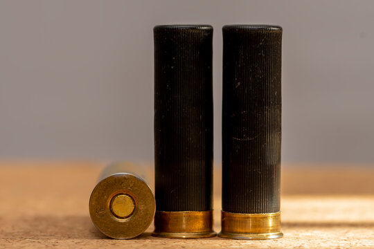 Buckshot Изображения: просматривайте стоковые фотографии, векторные ...