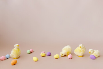 Fototapeta na wymiar Easter background with easter chicks and eggs. Easter decor