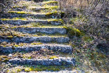 Stone steps in rural landscape