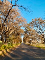 autumn in the park