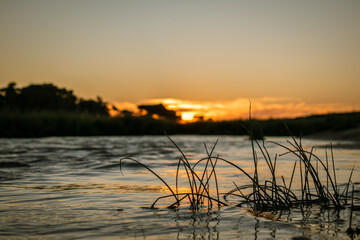 sunset on the river with silhouettes of leaves